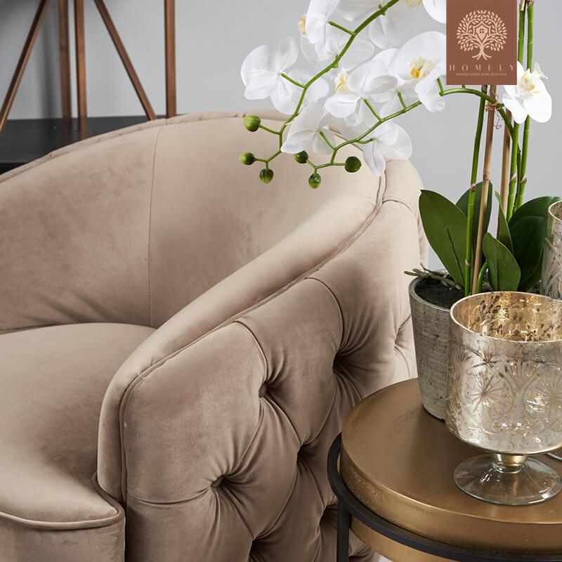 EVERVISTA-ENSEMBLE DE SALON 3 PIÈCES CHESTERFIELD EN VELOURS DE LUXE BEIGE- Homely